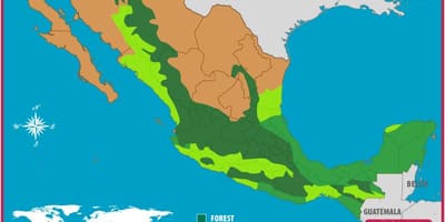 แผนที่ของเม็กซิโกในป่า